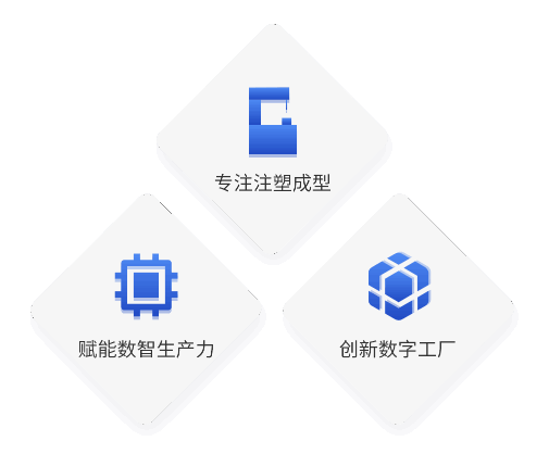 Company Profile